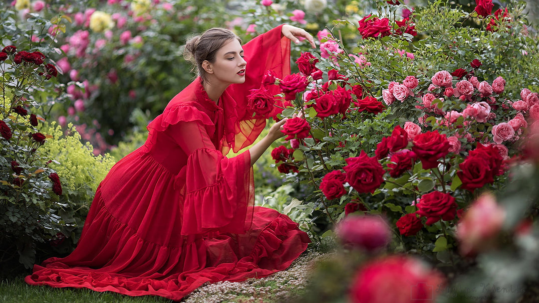Understand the Different Types of Long-lasting Roses and Flowers