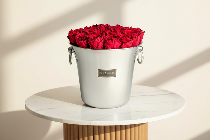 Blanche - Esor Atelier