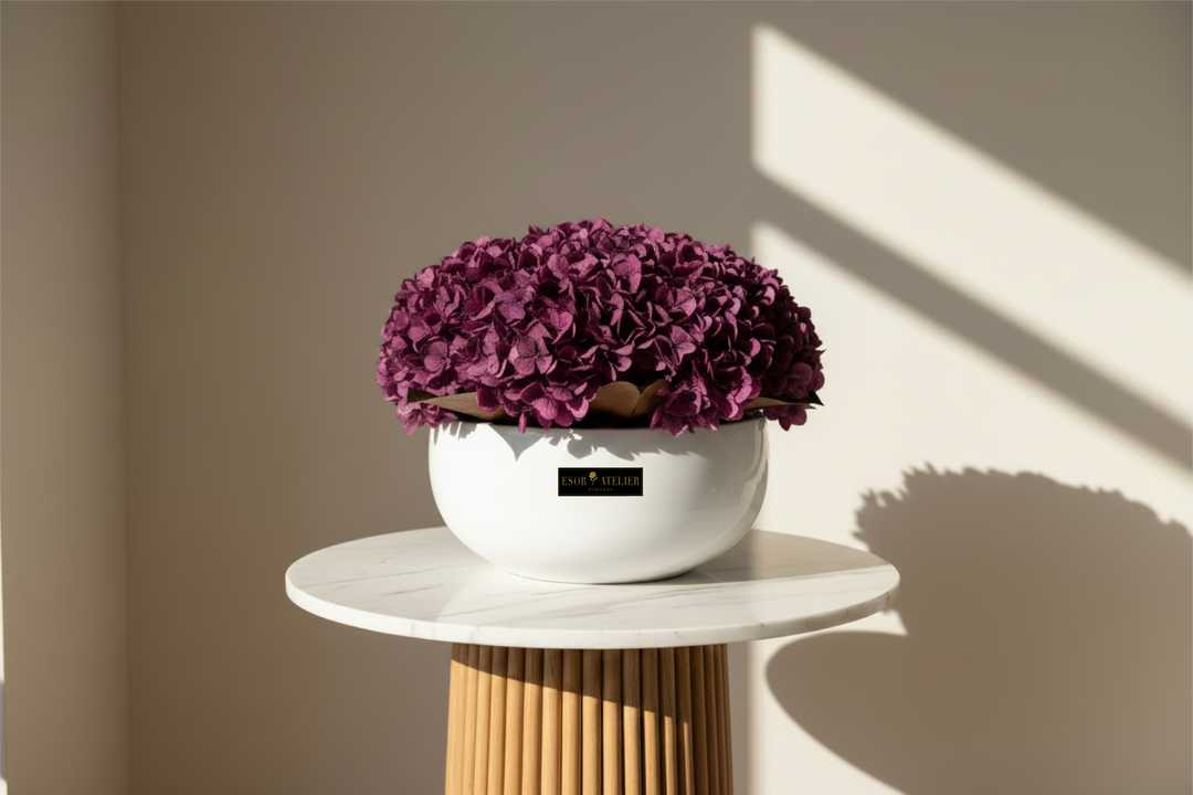 Close-up of a daisy flower with white petals and yellow center, designed by Esor Atelier.