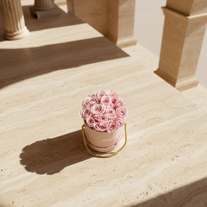 Darcy - Esor Atelier