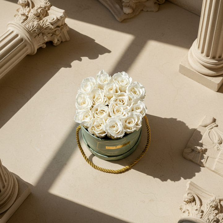 Darcy - Esor Atelier