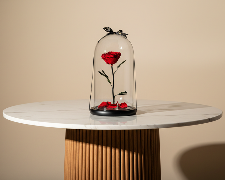 Eternity Bella - Esor Atelier