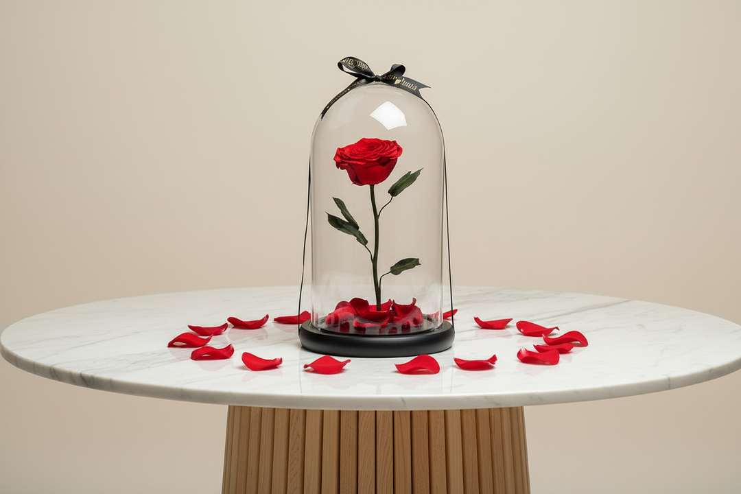 Eternity Bella - Esor Atelier