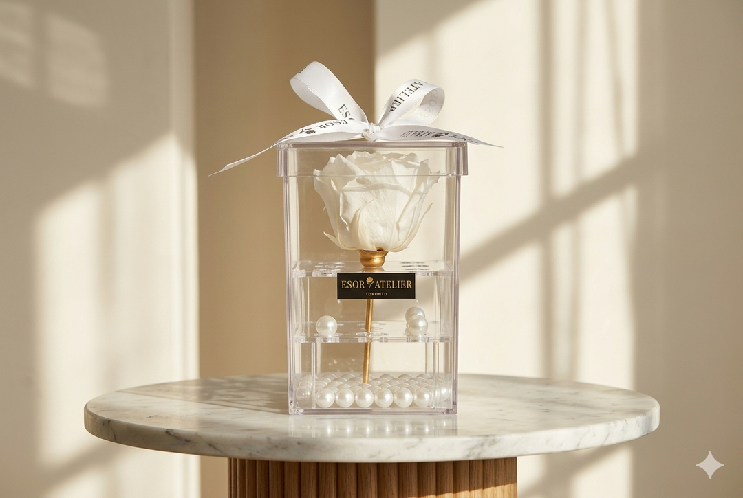 Eternal rose named Antoinette by ESOR ATELIER, beautifully preserved flower with soft pink petals in a close-up shot.