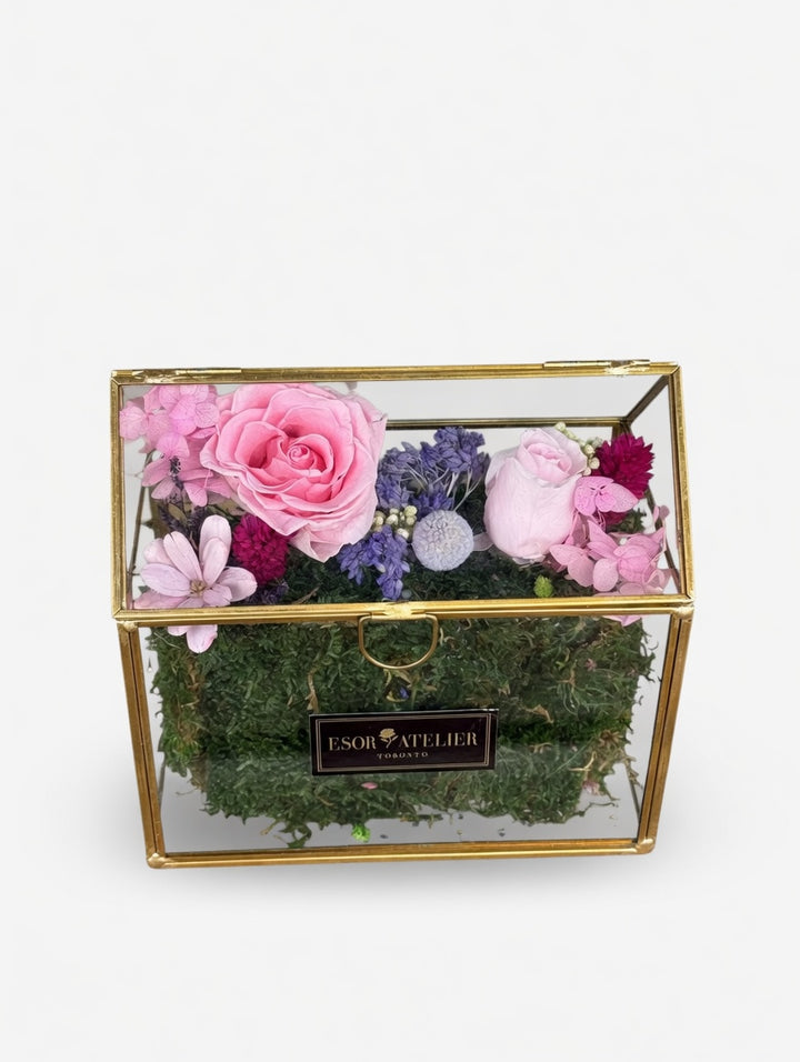 Esor Atelier Iris terrarium with lush green plants inside a clear glass container, showcasing natural botanical decor.