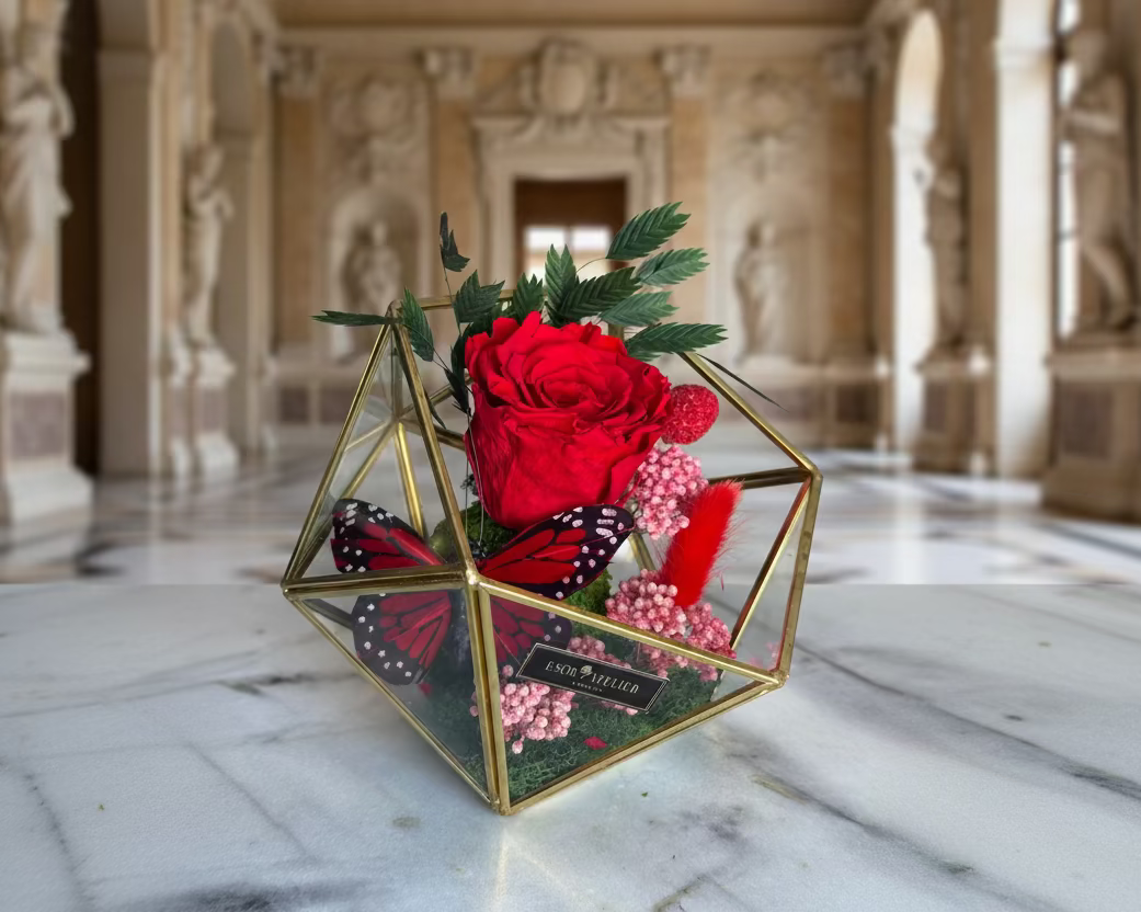 Raegan - Esor Atelier