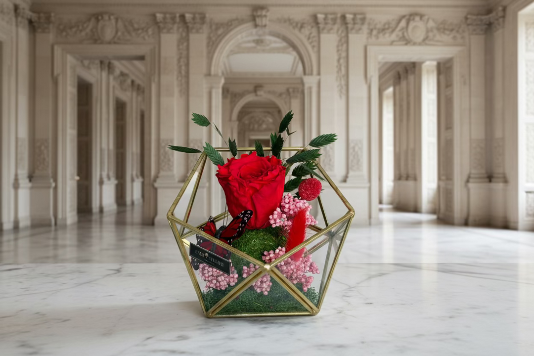 Raegan - Esor Atelier