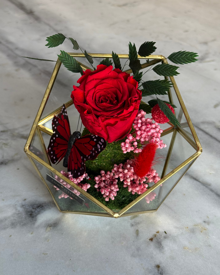 Raegan - Esor Atelier