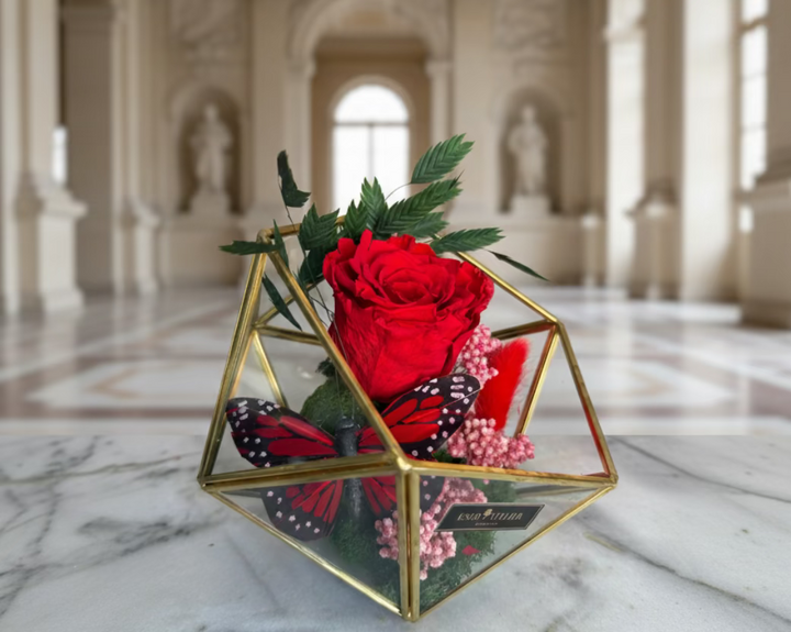 Raegan - Esor Atelier