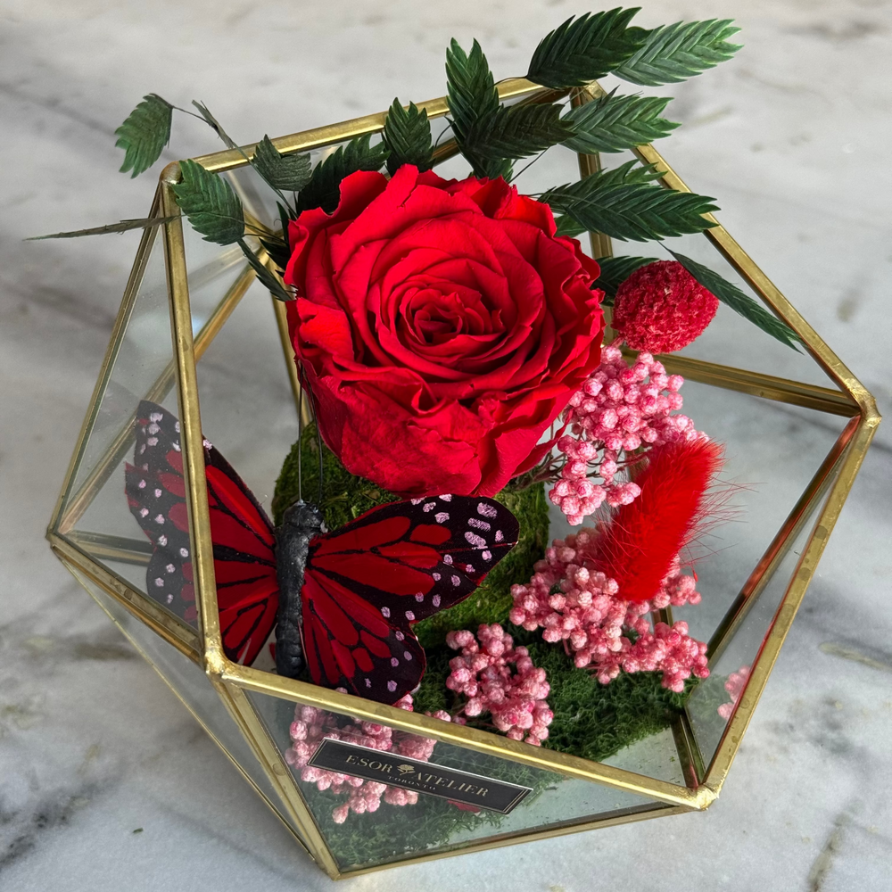 Raegan - Esor Atelier