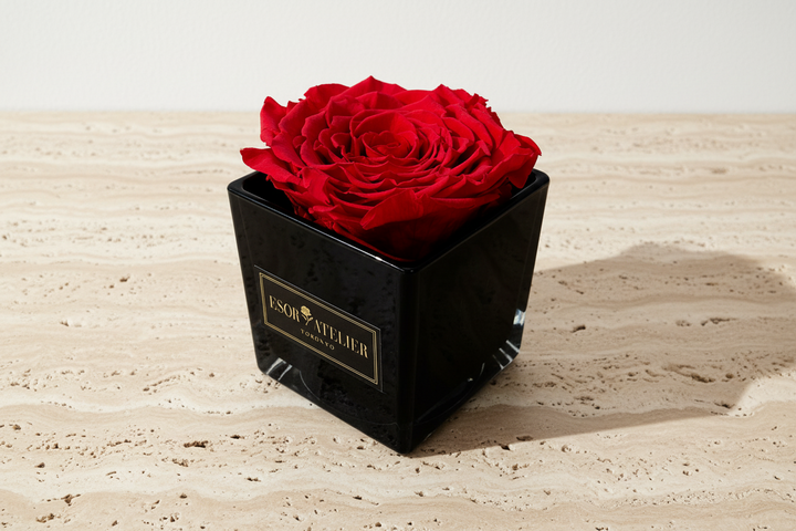 Eternal Rose Danielle by Esor Atelier, a preserved pink rose in a clear glass display, showcasing delicate petals and elegant presentation.