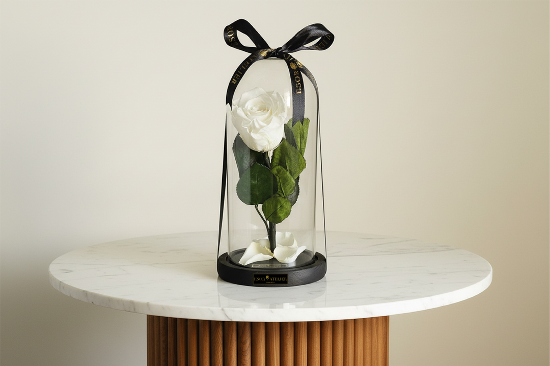 Eternity Slim - Esor Atelier