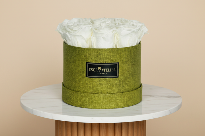 Brigitte - Esor Atelier