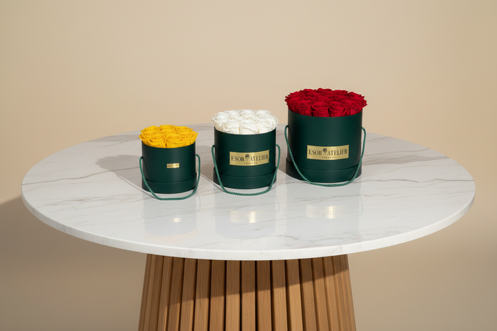 Francine - Esor Atelier