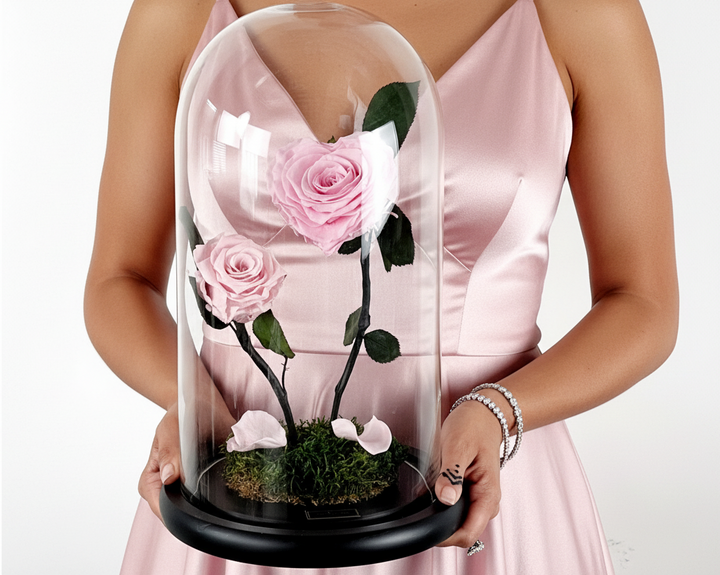Person holding a glass dome with preserved roses against a white background