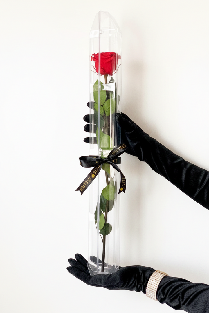 Eternal rose by Esor Atelier with delicate pink petals and green leaves, beautifully preserved and displayed in a clear glass dome.