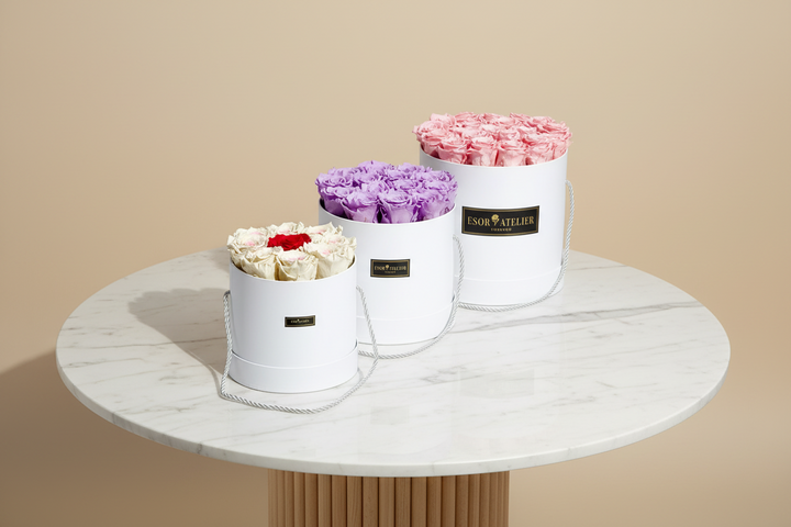 Doreen - Esor Atelier