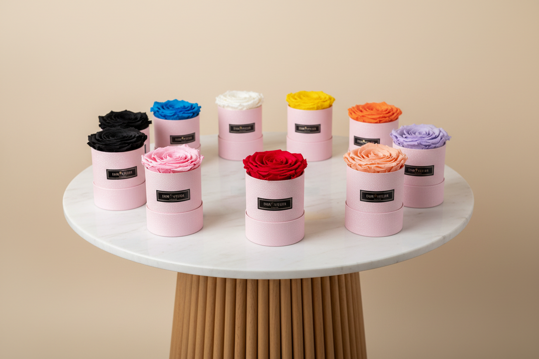 Denise - Esor Atelier