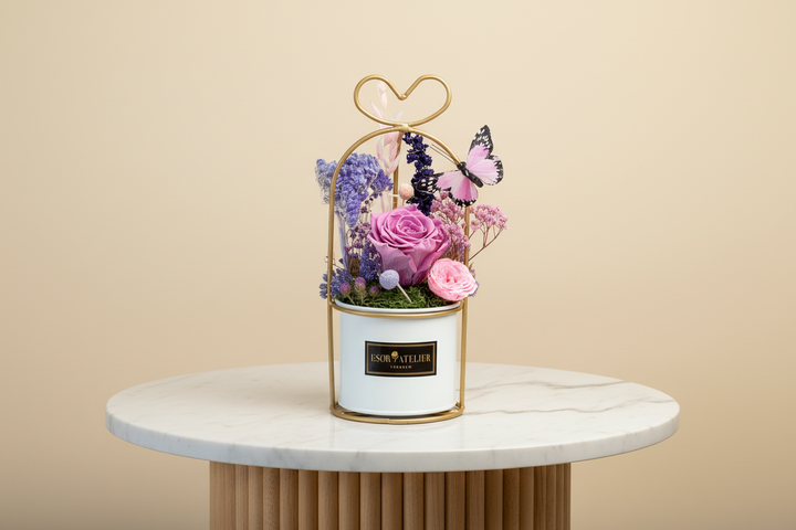 Gracie - Esor Atelier