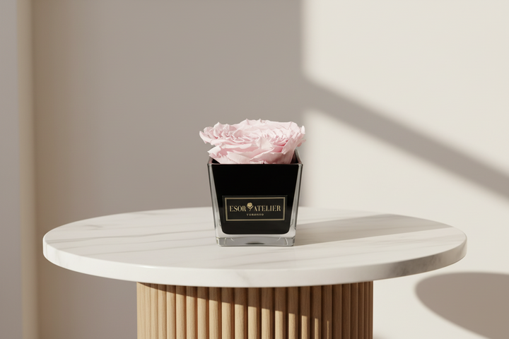 Eternal rose named Danielle from Esor Atelier, showcasing a preserved, vibrant flower in a clear glass display.