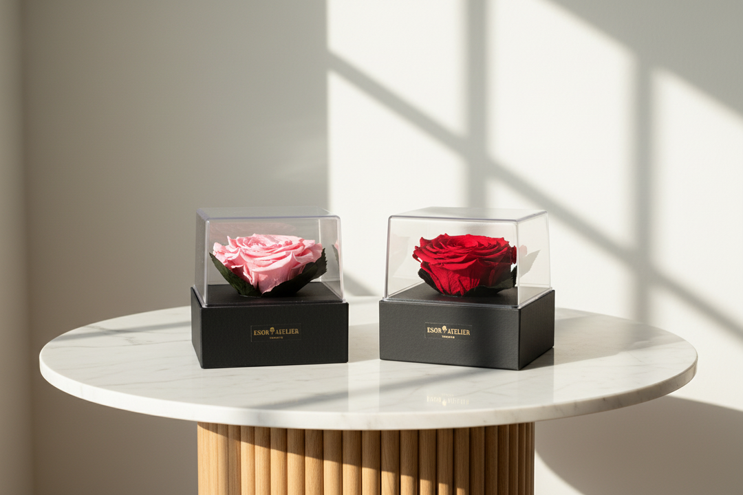 Acrylic Jolie jewelry piece by ESOR ATELIER featuring elegant, translucent acrylic design with intricate details.