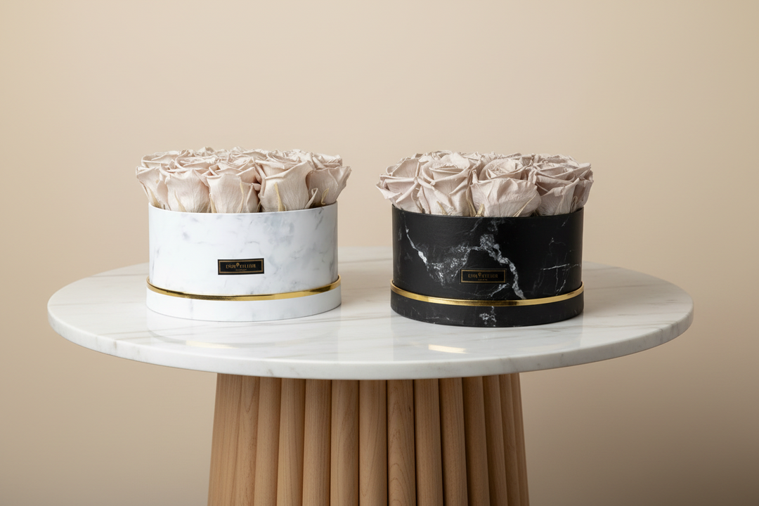 Georgine - Esor Atelier