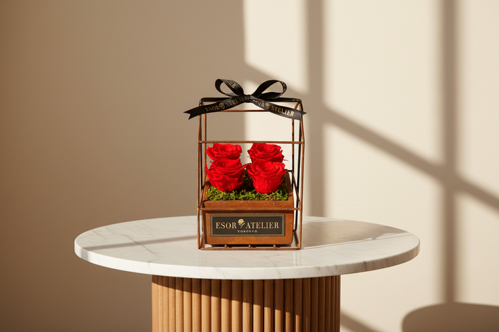 Eternal Rose by ESOR ATELIER from Château des Charmes, showcasing a preserved, vibrant red rose in a clear glass display.