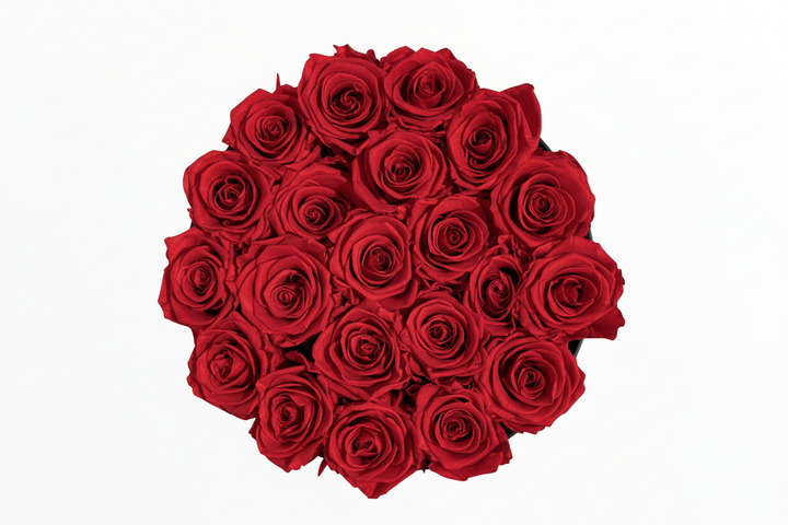 Francine - Esor Atelier