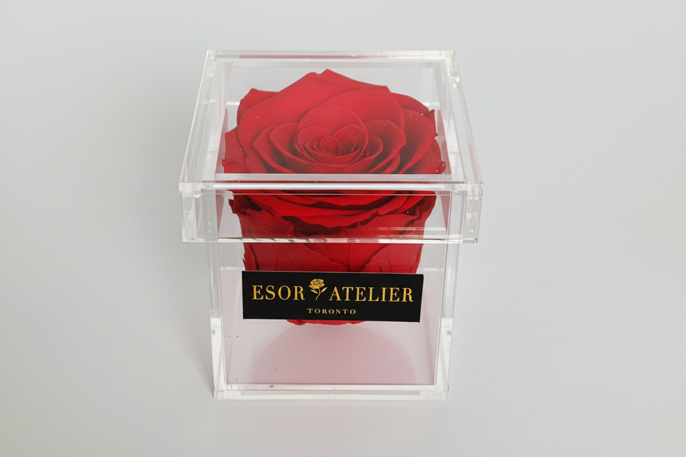 Eternal rose named Madeline by Esor Atelier, showcasing a preserved, vibrant red flower in a clear glass display.