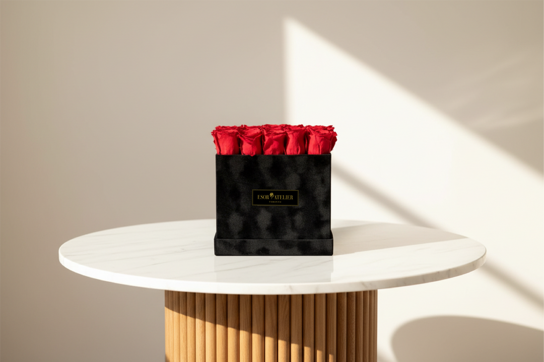 Evelyn - Esor Atelier