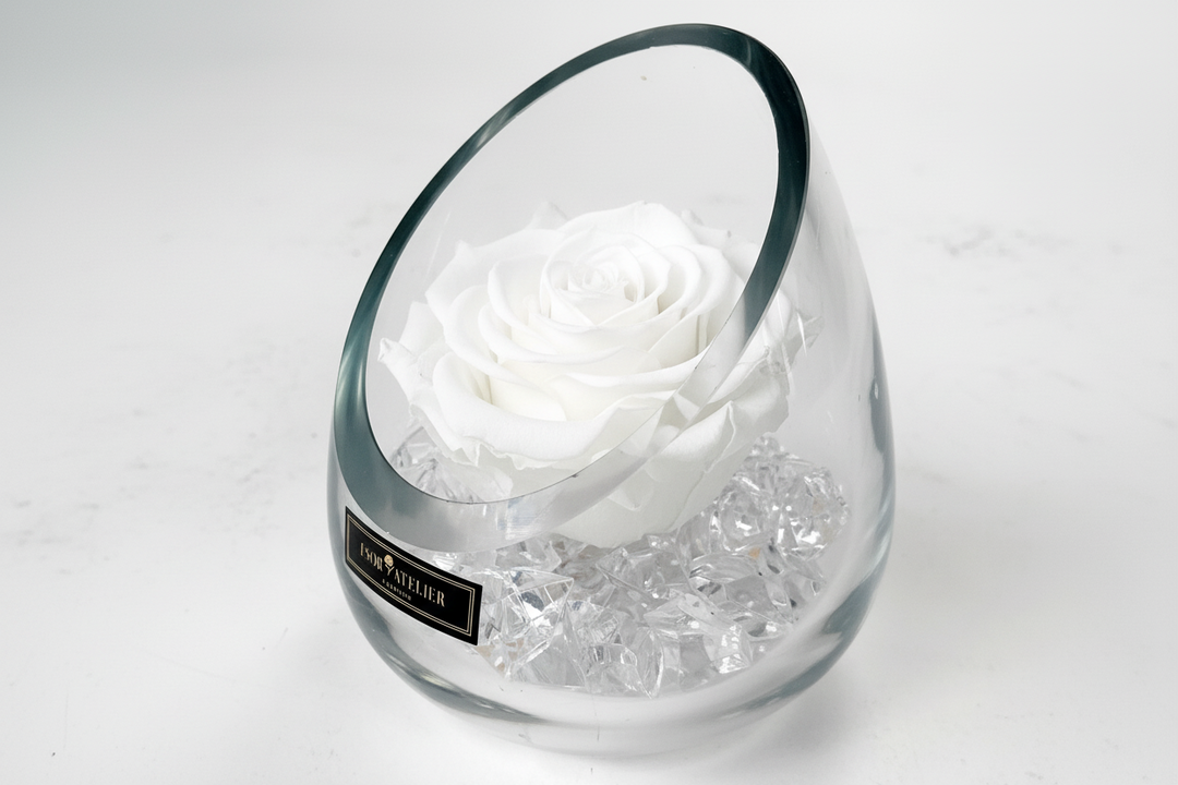 Eloise - Esor Atelier