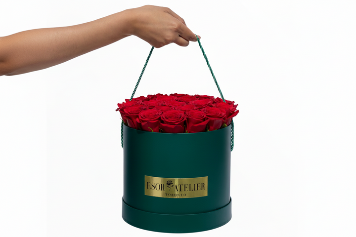 Francine - Esor Atelier