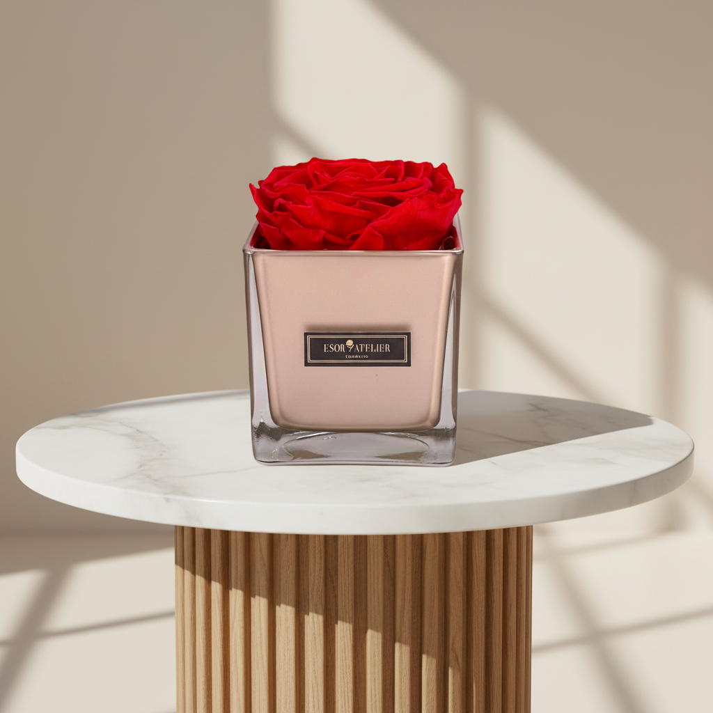 Eternal rose named Veronique by Esor Atelier, showcasing a preserved, vibrant flower with delicate petals on a neutral background.