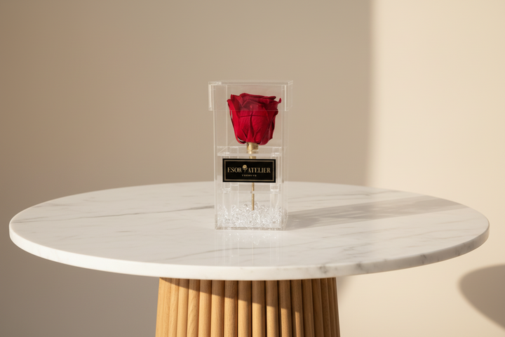 Marguerite - Esor Atelier