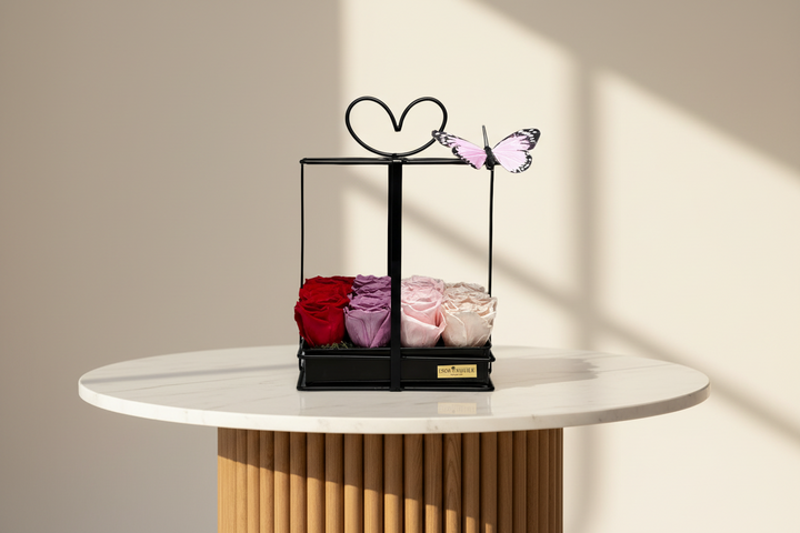 Hannah - Esor Atelier