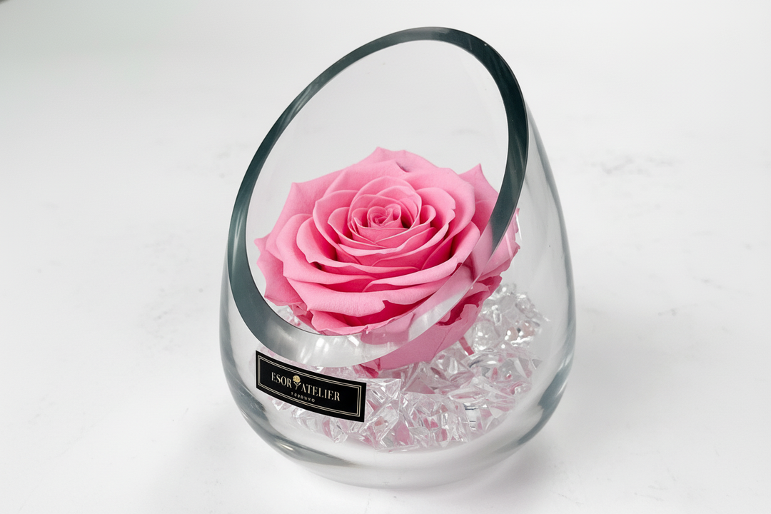 Eloise - Esor Atelier