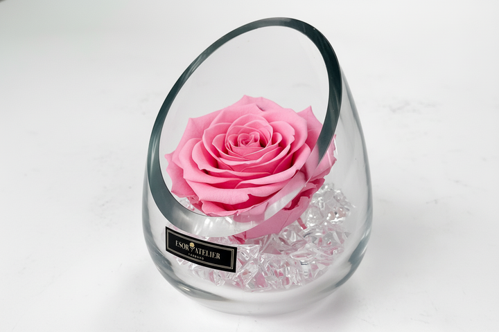 Eloise - Esor Atelier
