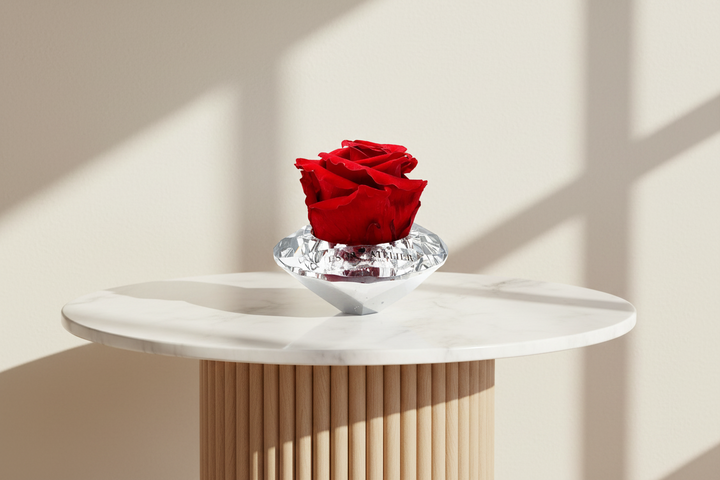Eternal Solitaire Rose by ESOR ATELIER featuring a preserved single rose in a clear glass dome.
