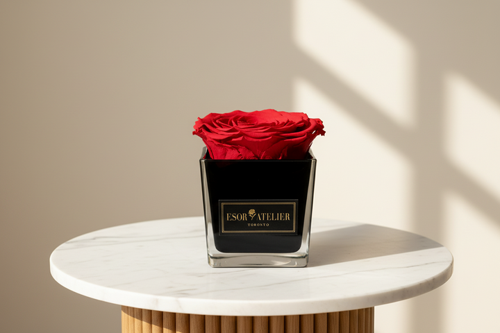 Eternal rose named Danielle by Esor Atelier, featuring a preserved, vibrant red flower in a clear glass display.