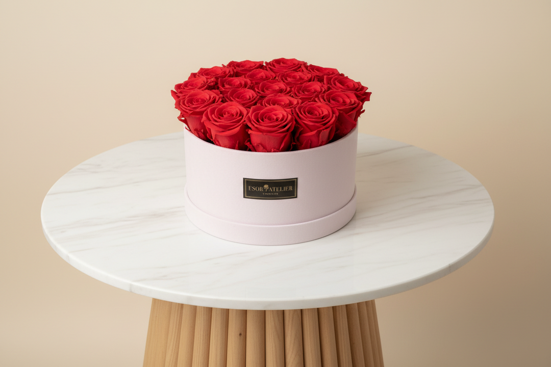 Clemence - Esor Atelier