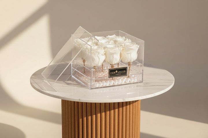 Regent - Esor Atelier