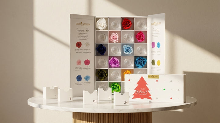 Minimalist Claire Advent Calendar by Esor Atelier, featuring a sleek design with numbered doors for daily holiday surprises.