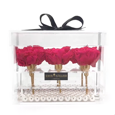 https://cdn.shopify.com/s/files/1/0066/8588/4486/files/Cristal_Tiffany_VDO1.mp4?9618582818918259035