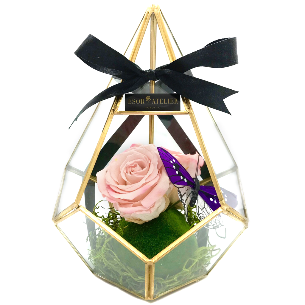 A geometric glass terrarium with preserved pink roses, green moss, and a black satin ribbon.