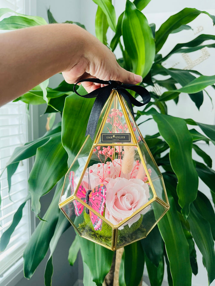 Élyséen - Esor Atelier