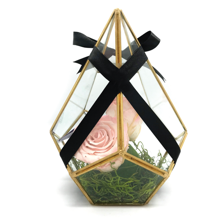 A geometric glass terrarium with preserved pink roses, green moss, and a black satin ribbon.