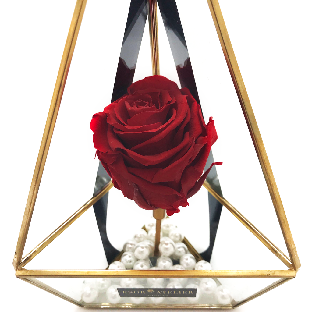 Opulence - Esor Atelier
