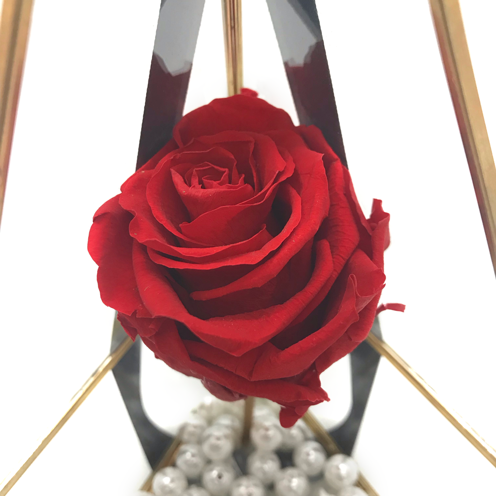 Opulence - Esor Atelier