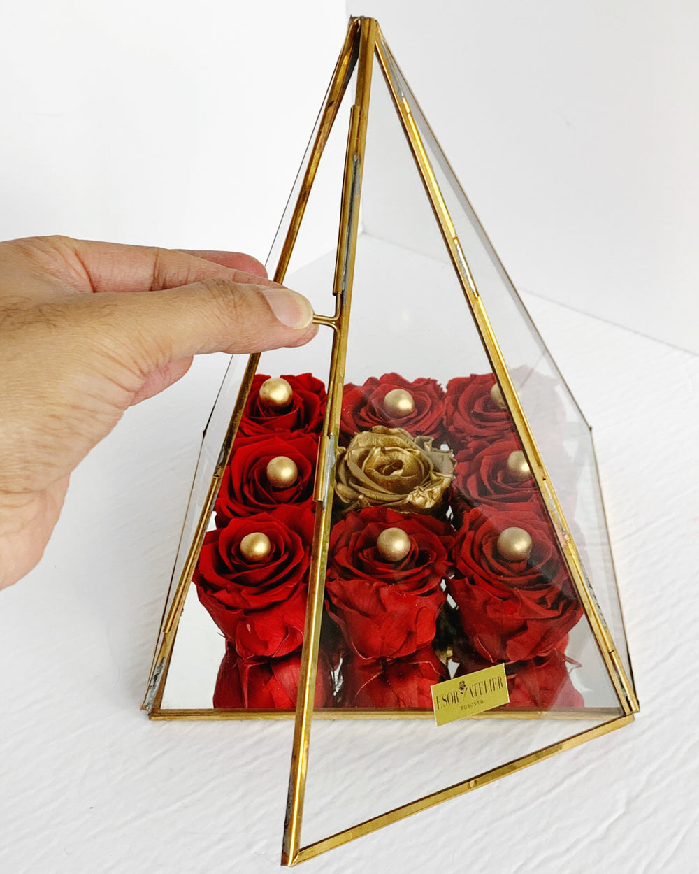 Trinette - Esor Atelier