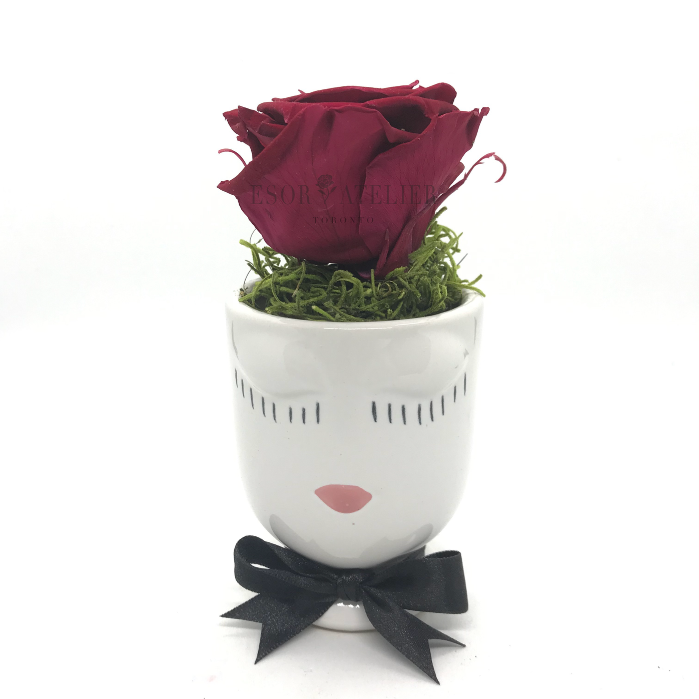 https://cdn.shopify.com/s/files/1/0066/8588/4486/files/Josephine_VDO.mp4?13647644890741789309